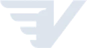 Viggi